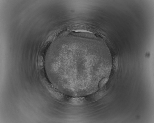 X0000114650571200911101323