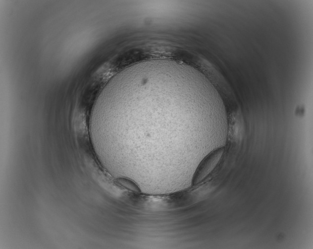 X0000114650573200911101323