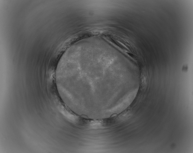 X0000114650574200911101323