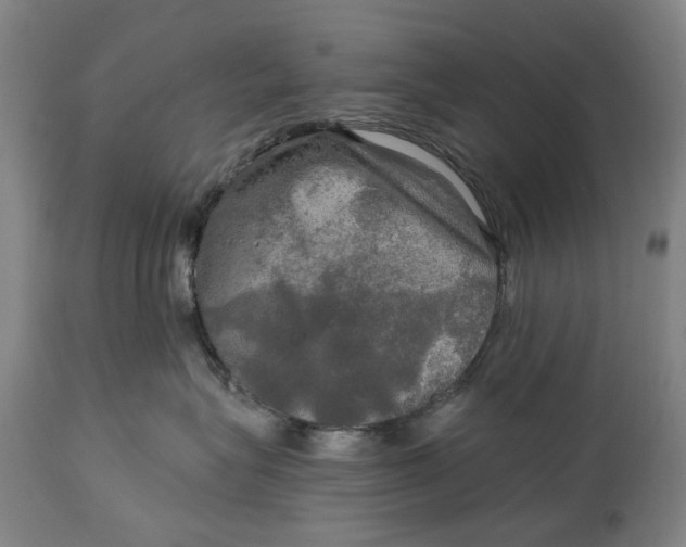 X0000114650575200911101323