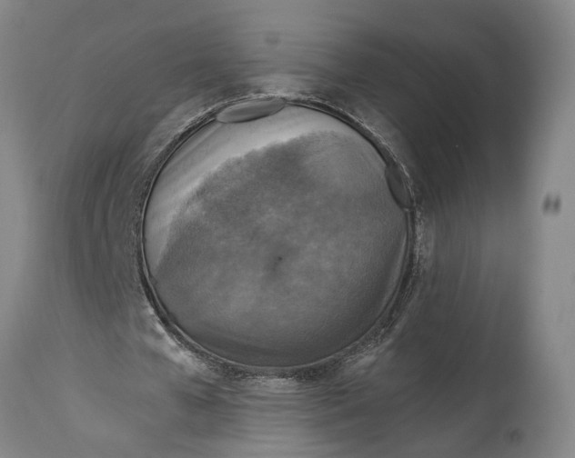 X0000114650577200911101323