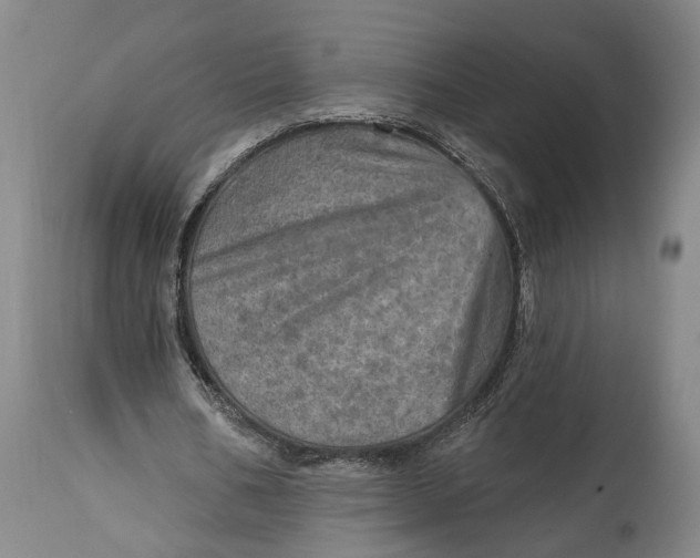 X0000114650578200911101323