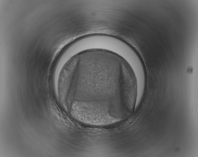 X0000114650579200911101322