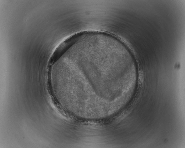 X0000114650580200911101322