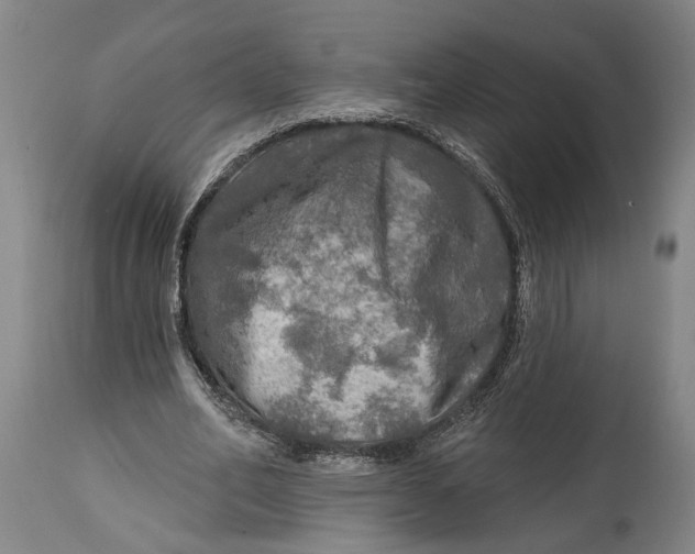 X0000114650582200911101322