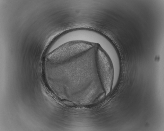 X0000114650583200911101322