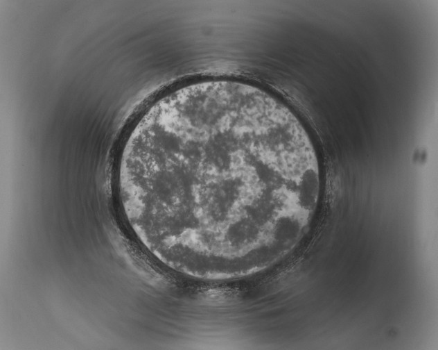 X0000114650584200911101322