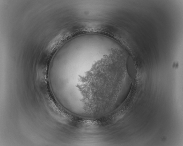 X0000114650585200911101322