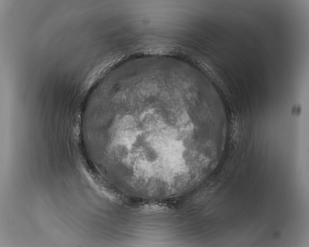 X0000114650586200911101322