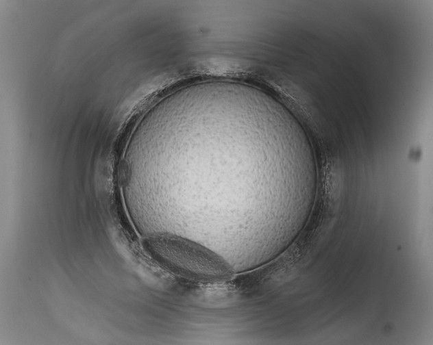 X0000114650587200911101322