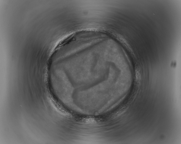 X0000114650588200911101322