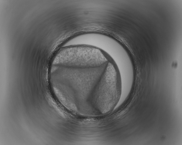 X0000114650589200911101322