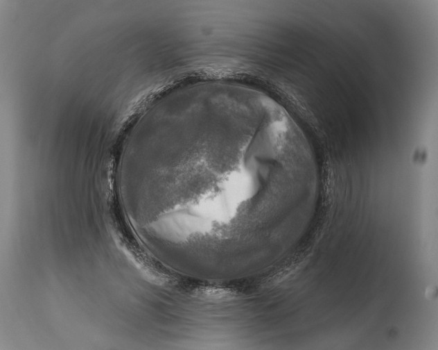 X0000114650590200911101322