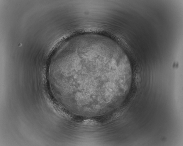 X0000114650591200911101322