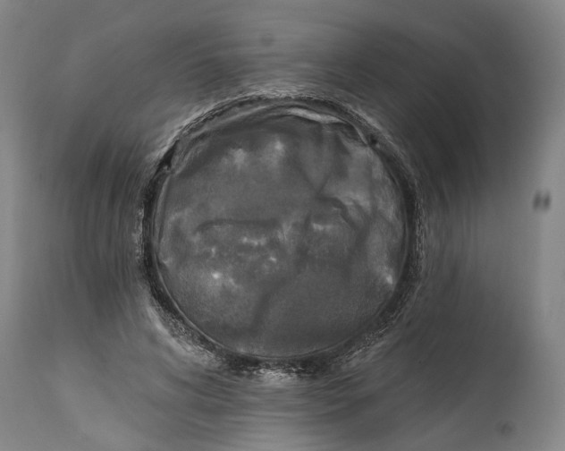 X0000114650592200911101322