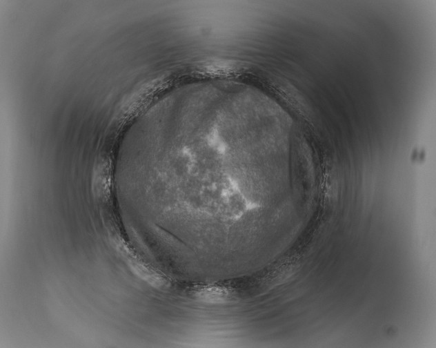 X0000114650593200911101322