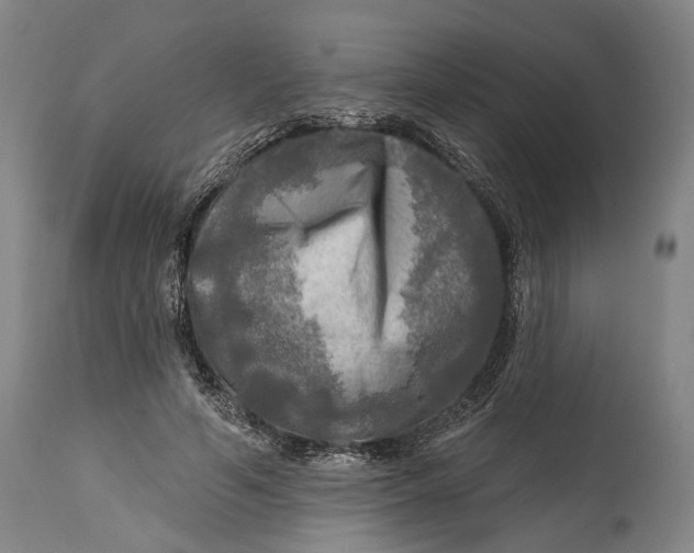 X0000114650594200911101322