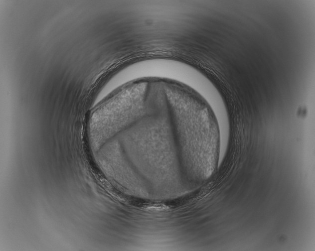 X0000114650595200911101322