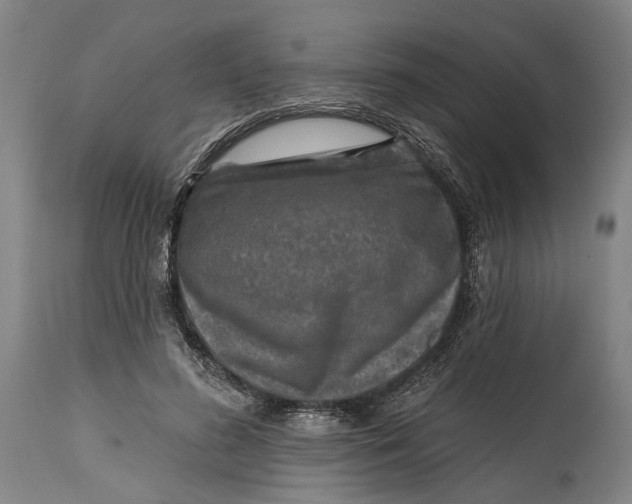 X0000114650596200911101322