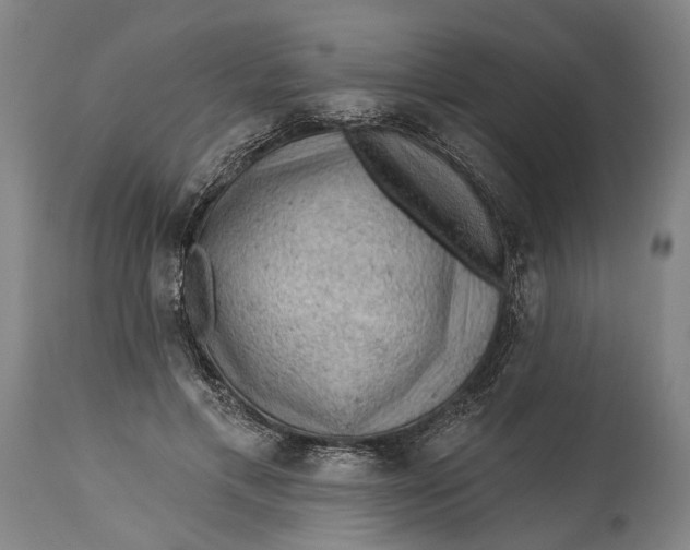 X0000114650597200911101322