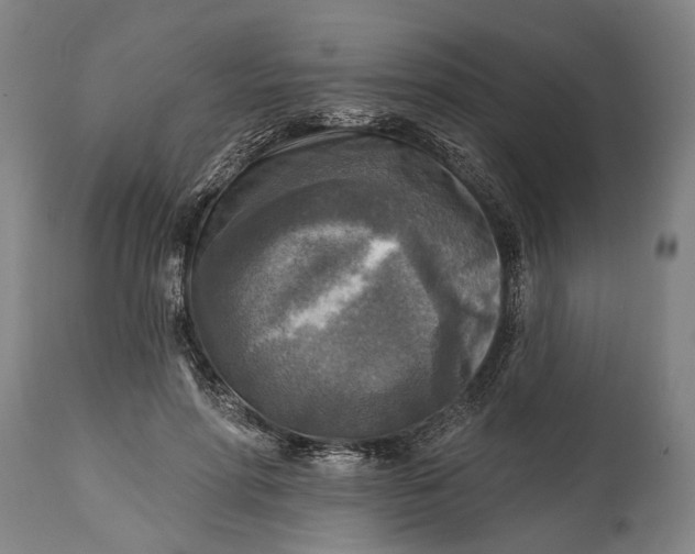 X0000114650598200911101322