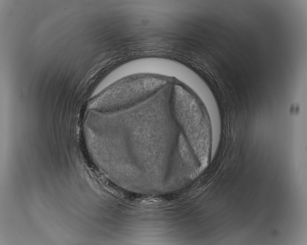 X0000114650599200911101322