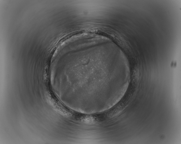 X0000114650600200911101322