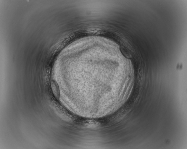 X0000114650601200911101322