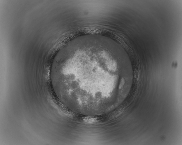 X0000114650602200911101322