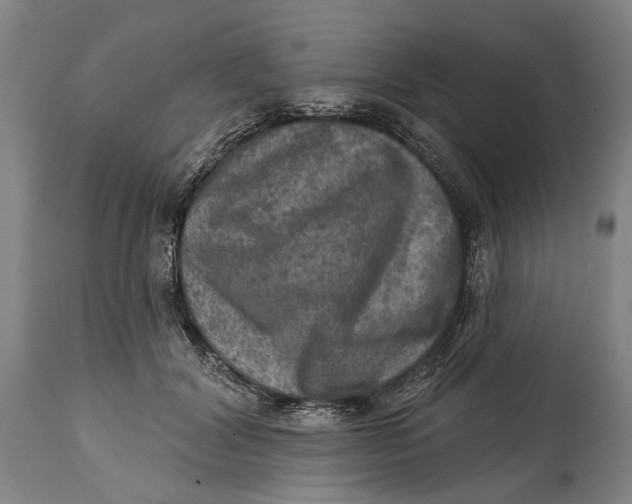 X0000114650604200911101322