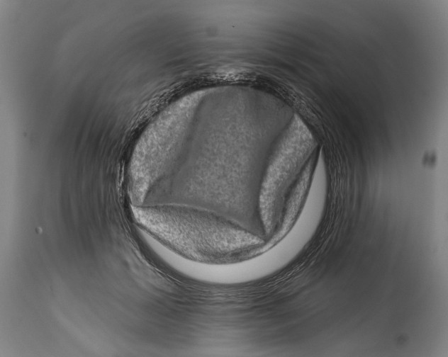 X0000114650605200911101322