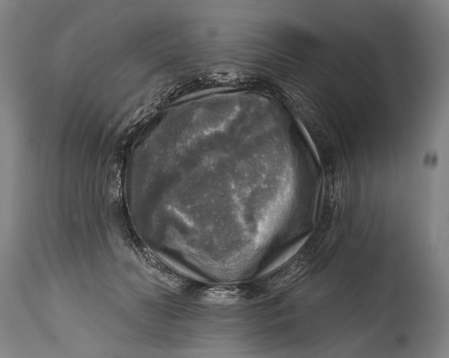 X0000114650606200911101322