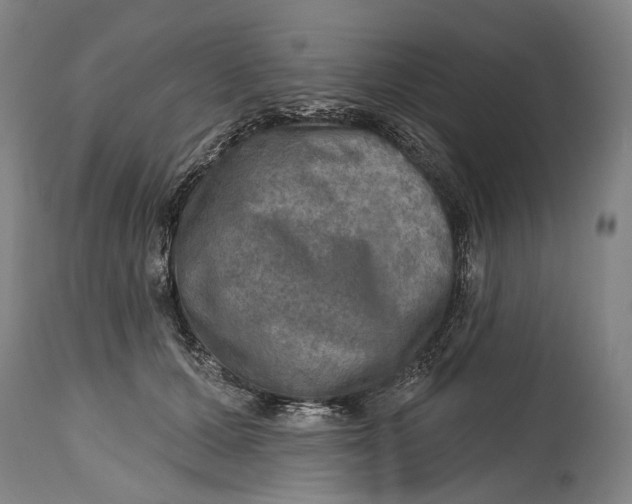 X0000114650607200911101322