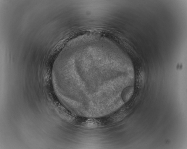 X0000114650608200911101322