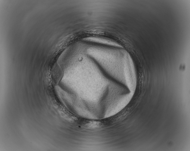 X0000114650609200911101322