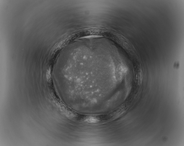 X0000114650610200911101322