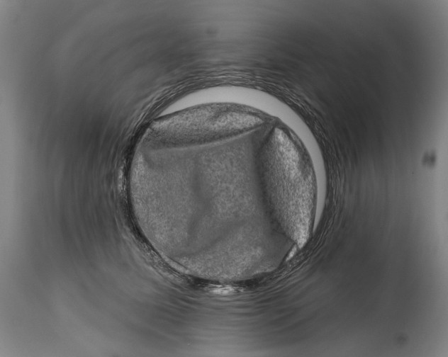 X0000114650611200911101322