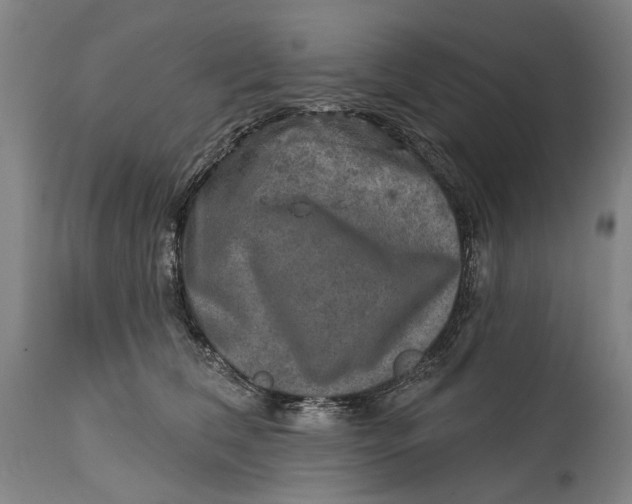 X0000114650612200911101322