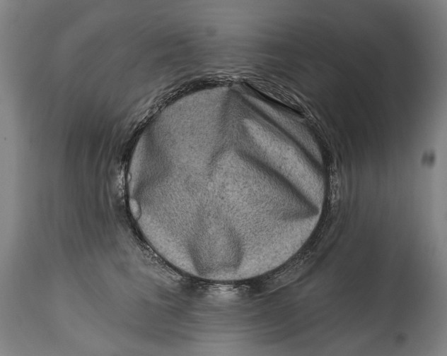 X0000114650613200911101322