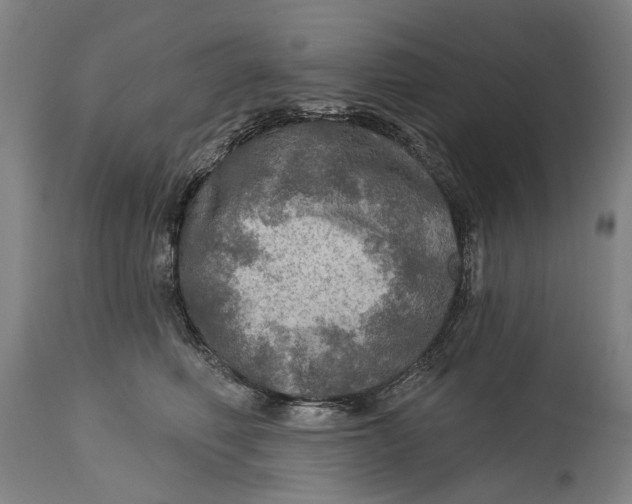 X0000114650614200911101322