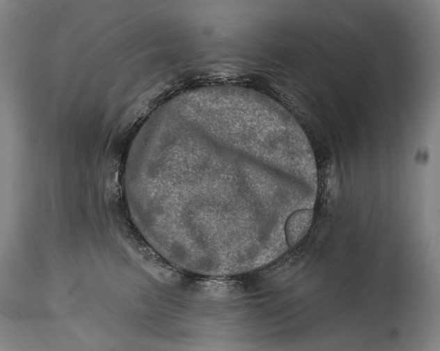 X0000114650615200911101322