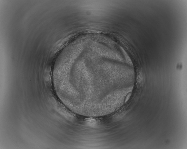 X0000114650616200911101322