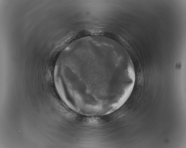 X0000114650618200911101322