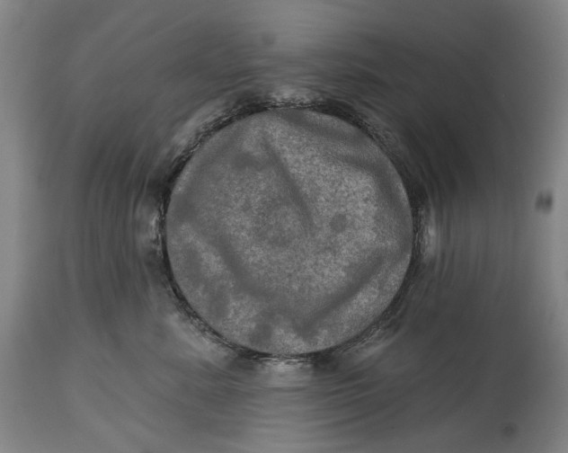 X0000114650619200911101322