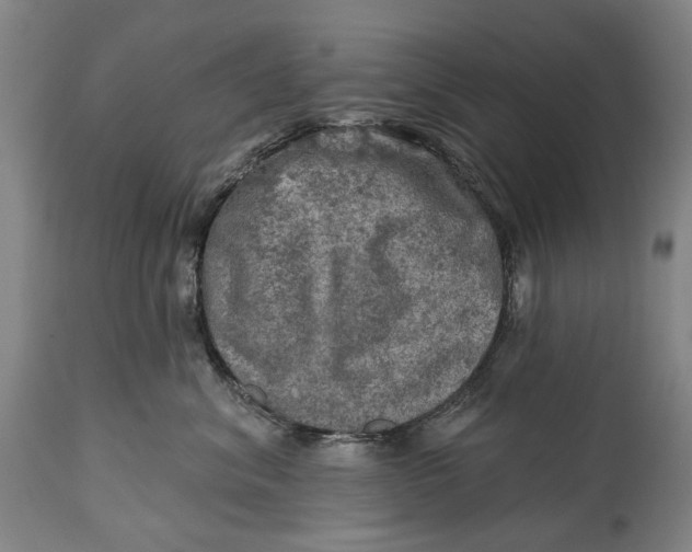 X0000114650620200911101322