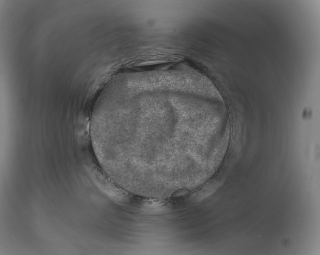 X0000114650624200911101322