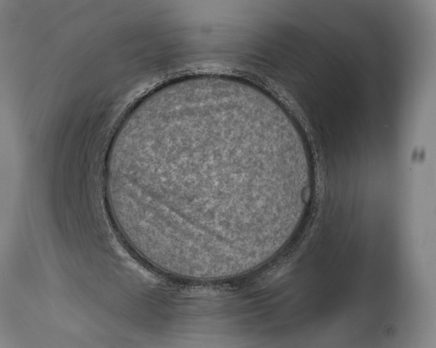 X0000114650625200911101321