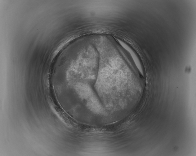 X0000114650626200911101321