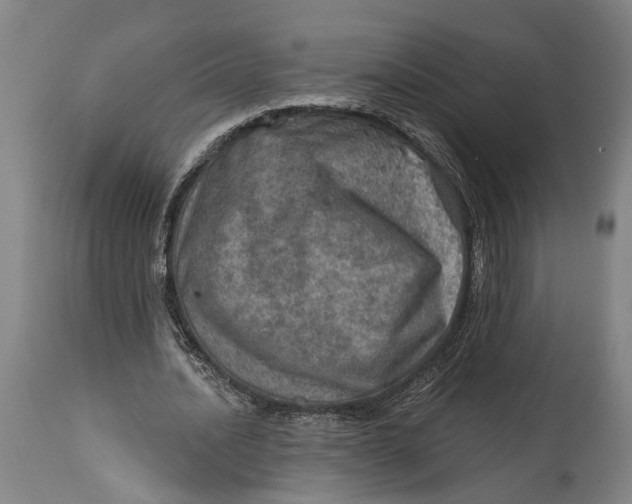 X0000114650628200911101321