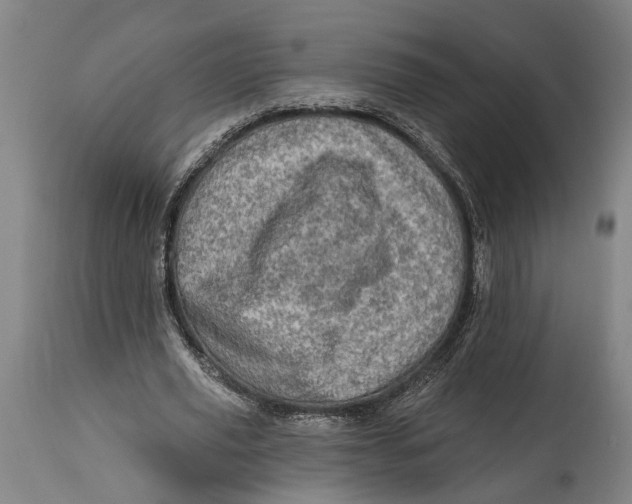 X0000114650629200911101321